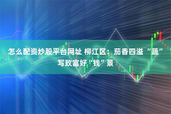 怎么配资炒股平台网址 柳江区：茄香四溢 “蔬”写致富好“钱”景